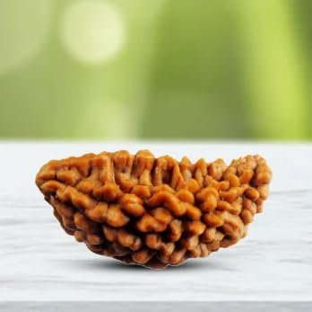 Ek Mukhi Rudraksha